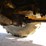new-holland-545d-image-19