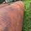 1000-gallon-fuel-barrel-image-13