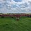 case-ih-4700-image-2