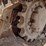2021-bobcat-t770-image-24