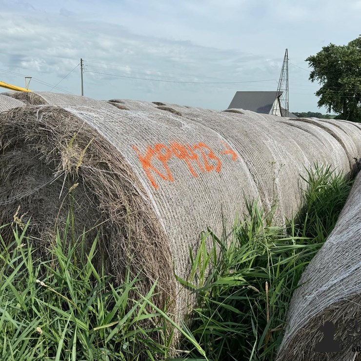 2024 Mixed Grass Hay Round Bales (BID PER UNIT)