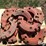 case-ih-rear-wheel-weights-image-7