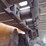 case-1150m-image-29