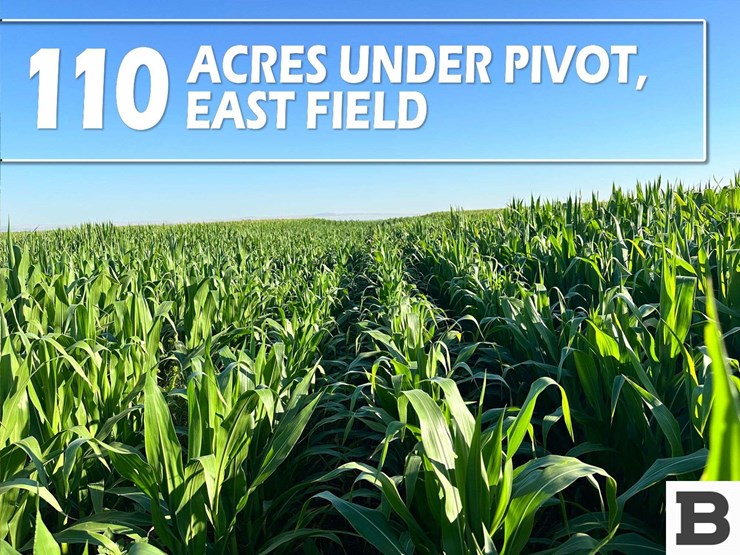 283-acres-of-franklin-county-real-estate-image-14