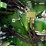 2021-john-deere-9570rx-image-78
