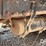1997-freightliner-fld112-image-26