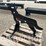 197---3/8"-ar500-steel-coyote-target-w/-heart-flapper-image-1