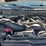 2017-ford-f550-image-27