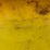 #39-•-qlf-liquid-feeder-image-5