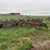 massey-ferguson-126-image-1