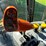 2011-new-holland-cr9060-image-56