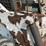 2001-bobcat-873-image-27