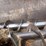 kuhn-knight-8118-image-28