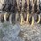 great-plains-3p605nt-image-19