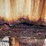 #2102-•-2013-great-dane-van-trailer-image-18