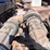 2000-kenworth-t800-image-69