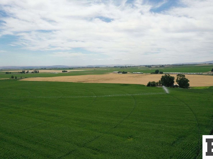 283-acres-of-franklin-county-real-estate-image-7