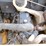 2005-new-holland-ls160-image-5