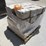 lot-of-approx-(240)-8"-plastic-planters-image-3