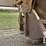 2002-king-load-image-14