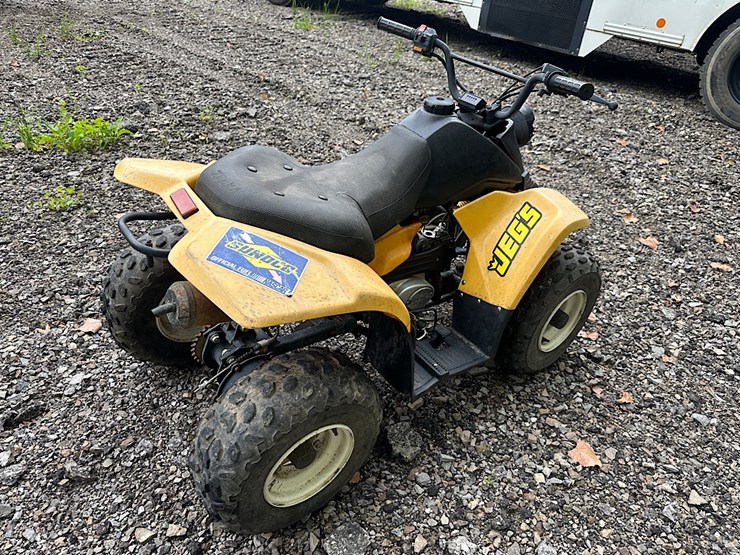 zebra-international-youth-atv-image-3