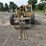 pettibone-6036-image-2