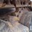 2014-caterpillar-d5k2-lgp-image-24