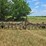 john-deere-a-image-5