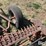 9'-pull-type-sickle-mower-image-15