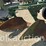 john-deere-2-image-7