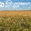 283-acres-of-franklin-county-real-estate-image-20