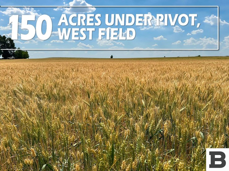 283-acres-of-franklin-county-real-estate-image-20