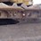 caterpillar-312-image-31