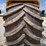 2019-raven-viper-image-20