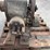 sattley-image-7