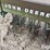 john-deere-400-image-17