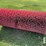 brush-image-1