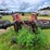 bush-hog-2615-image-4