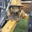holcomb-1200-image-11