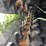 bridgestone-vortech-tracks-image-6