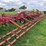 case-ih-4700-image-18