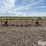 hamby-wfa321-image-6