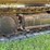 caterpillar-306e-image-6
