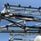 wylie-1200-image-7