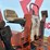 2003-ditch-witch-3700-image-13