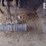2010-deere-310j-image-10