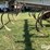glencoe-soil-saver-image-17
