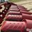 2016-case-ih-4408-image-20