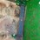 john-deere-a-image-7