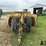 holcomb-1200-image-2